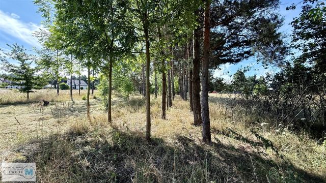 Działka budowlana Sobków. Zdjęcie 3