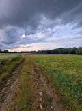 dworek, 10 pokoi Pławnica, Pławnica. Zdjęcie 1