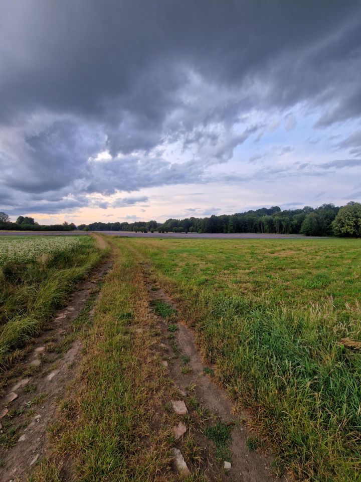 dworek, 10 pokoi Pławnica, Pławnica. Zdjęcie 2