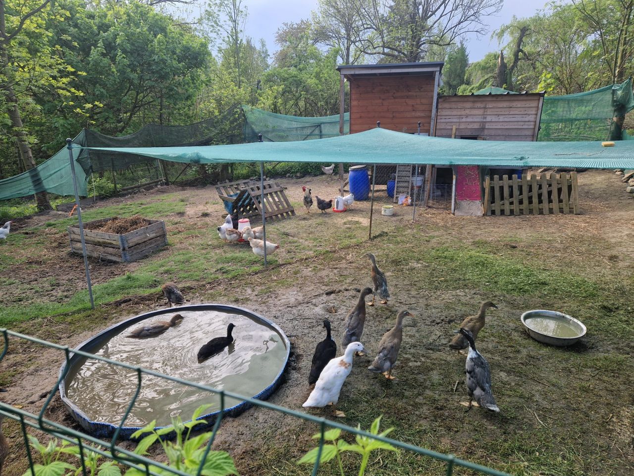 siedlisko, 2 pokoje Giebułtów. Zdjęcie 25