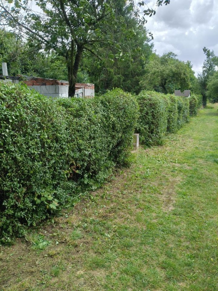 Działka rod Legnica, ul. Jaworzyńska. Zdjęcie 3