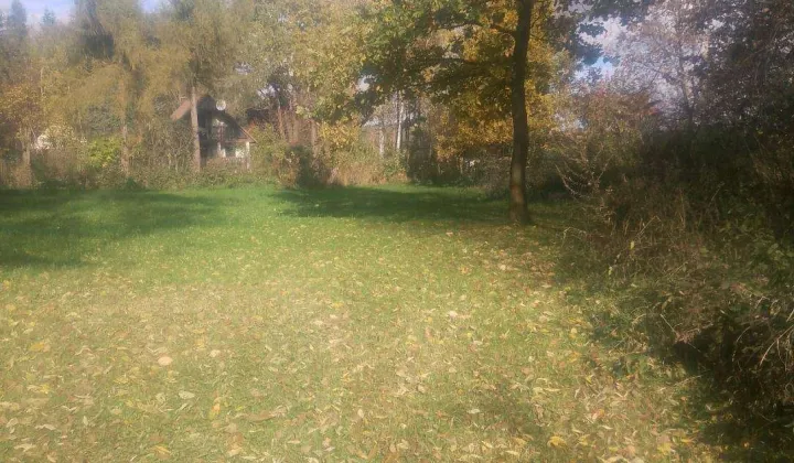 Działka Winiary