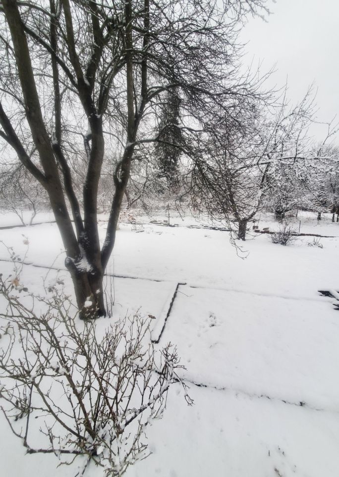 Działka rod Jelenia Góra Czarne, ul. Sudecka. Zdjęcie 5