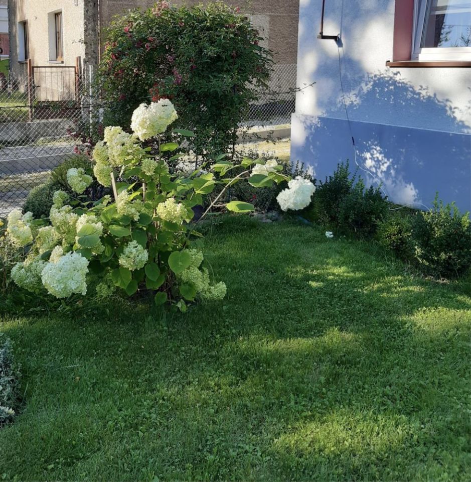 gospodarstwo Nowy Świętów. Zdjęcie 4