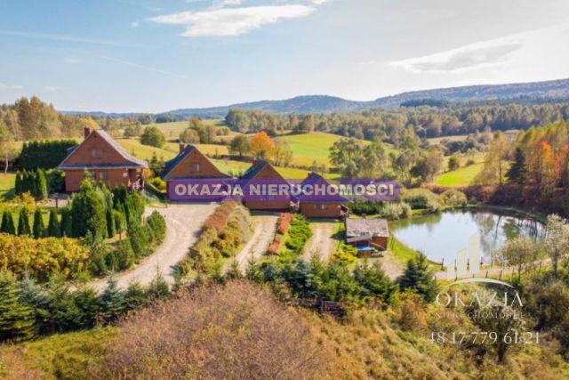 Lokal Równia. Zdjęcie 18