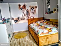 bliźniak, 4 pokoje Marki, ul. Grunwaldzka. Zdjęcie 3