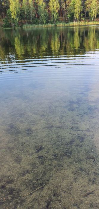 Działka rolna Wdzydze Tucholskie. Zdjęcie 8