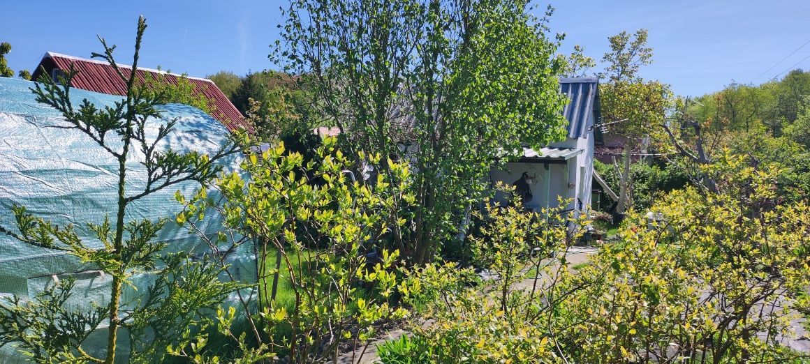 Działka rod Szczecin Płonia, ul. Senna. Zdjęcie 7