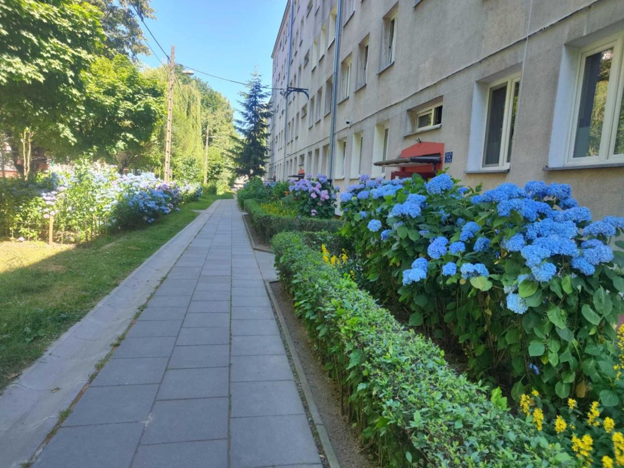 Mieszkanie 2-pokojowe Kraków Nowa Huta, os. Józefa Strusia. Zdjęcie 6