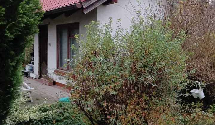 Działka rod Leszno, ul. Kwiatowa