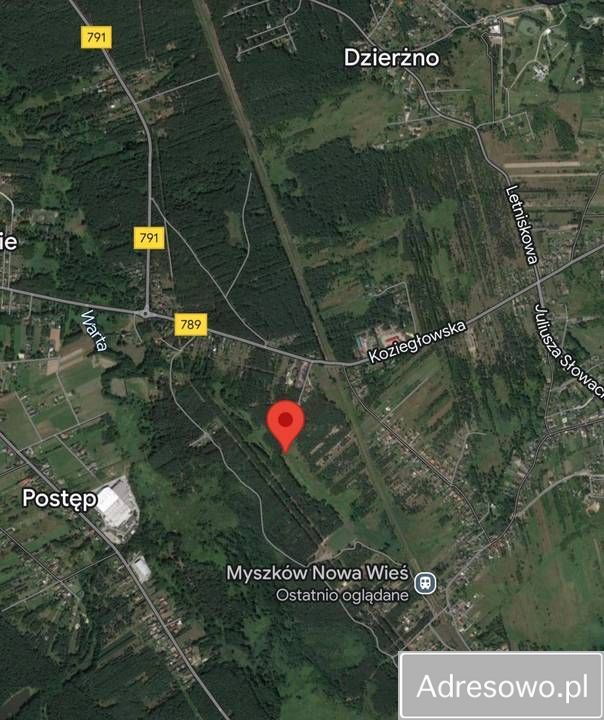 Działka leśna Myszków Nowa Wieś Żarecka, ul. Pawia. Zdjęcie 6