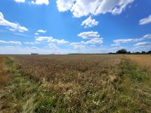 Działka rolna Przedewsie. Zdjęcie 1