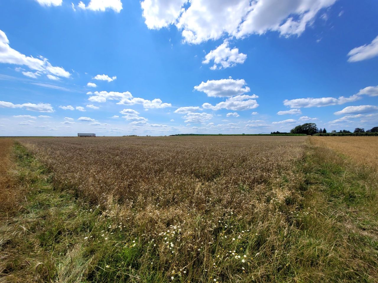 Działka rolna Przedewsie. Zdjęcie 2