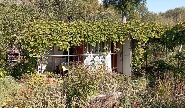 Działka rod Gorzów Wielkopolski Śródmieście, ul. Warszawska