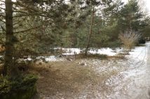 Działka budowlana Nekielka, ul. Kwiatowa. Zdjęcie 4