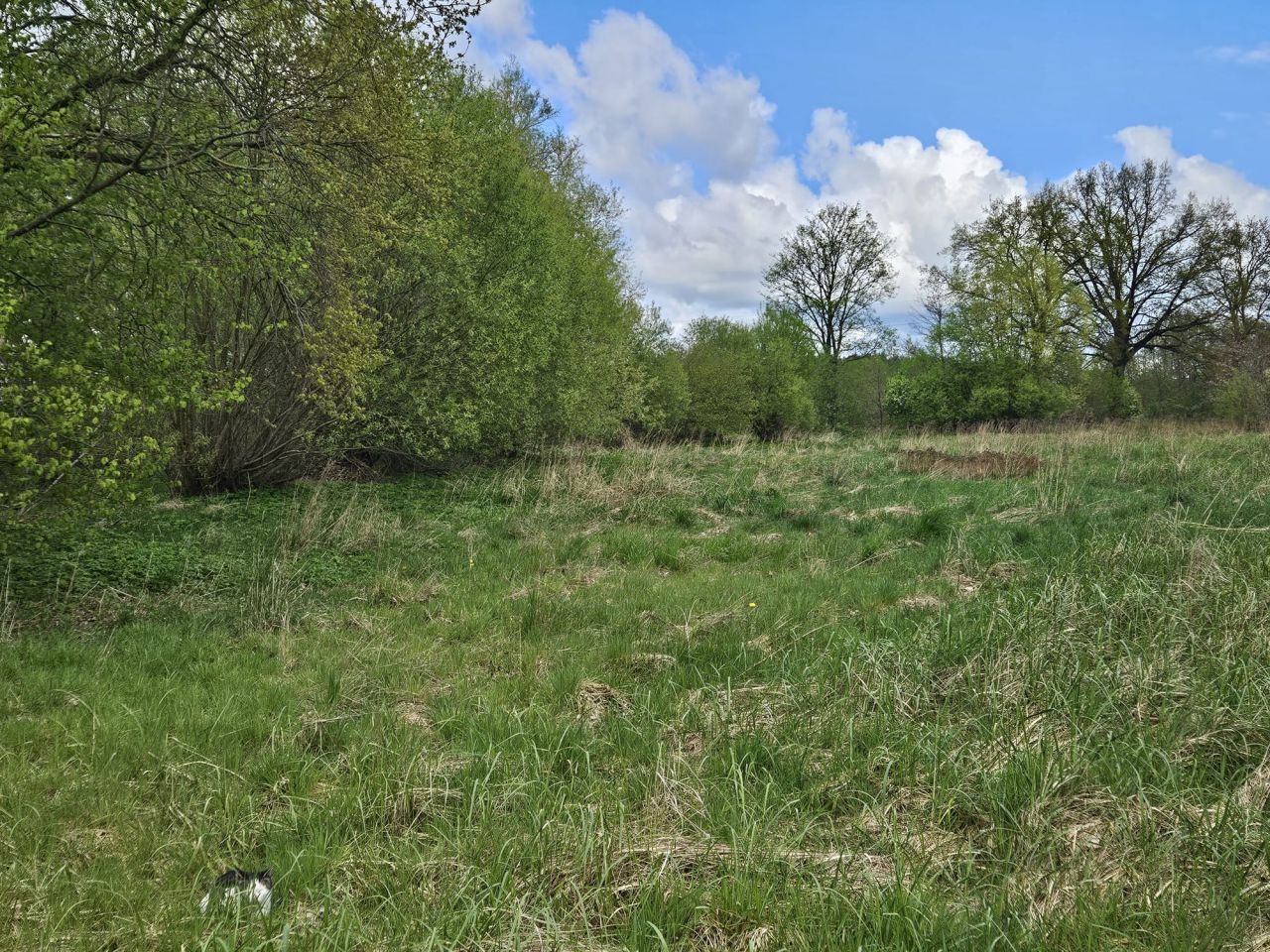 Działka budowlana Czarnkowo. Zdjęcie 10