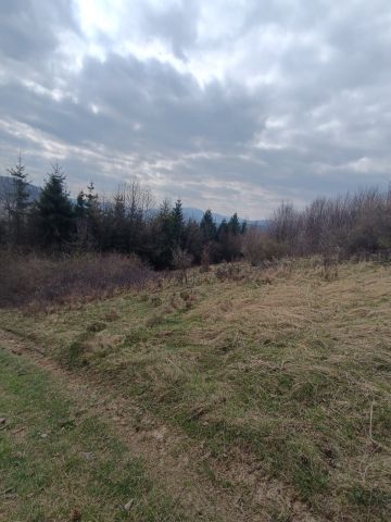 Działka budowlana Mutne. Zdjęcie 1