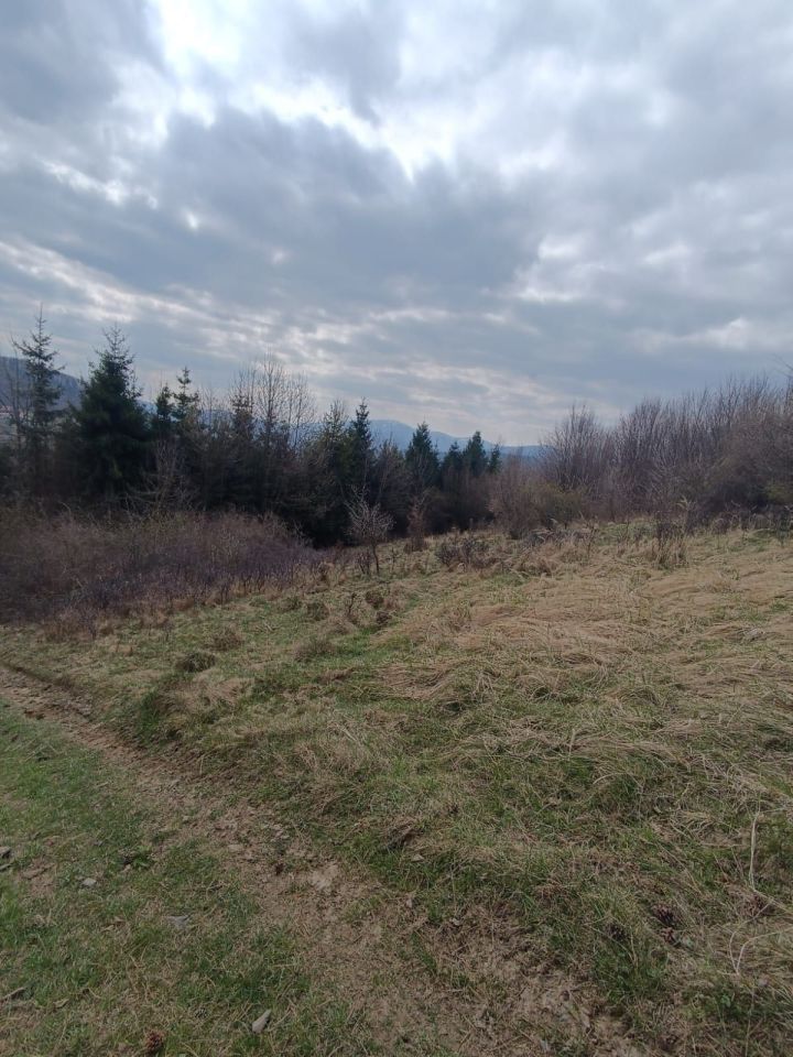 Działka budowlana Mutne. Zdjęcie 1