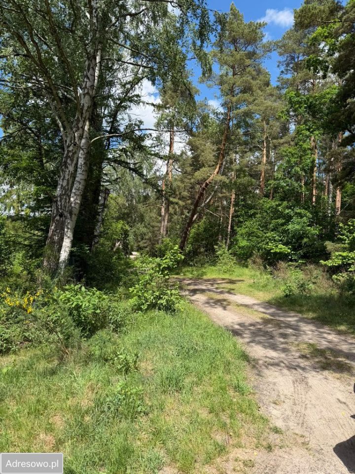 Działka inwestycyjna Dębogórze, ul. Lisia. Zdjęcie 12