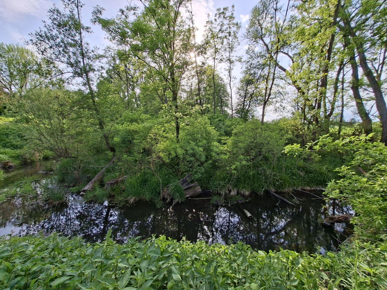 dom wolnostojący, 6 pokoi Świątniki. Zdjęcie 22