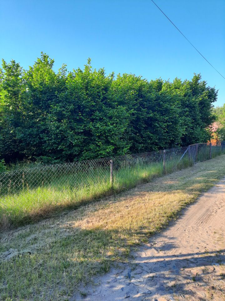 Działka budowlana Doratynka Skaryszewo. Zdjęcie 5