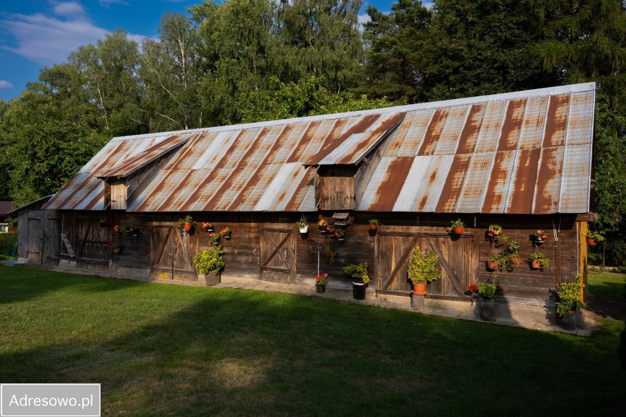 siedlisko, 5 pokoi Augustów, ul. Rajgrodzka. Zdjęcie 8
