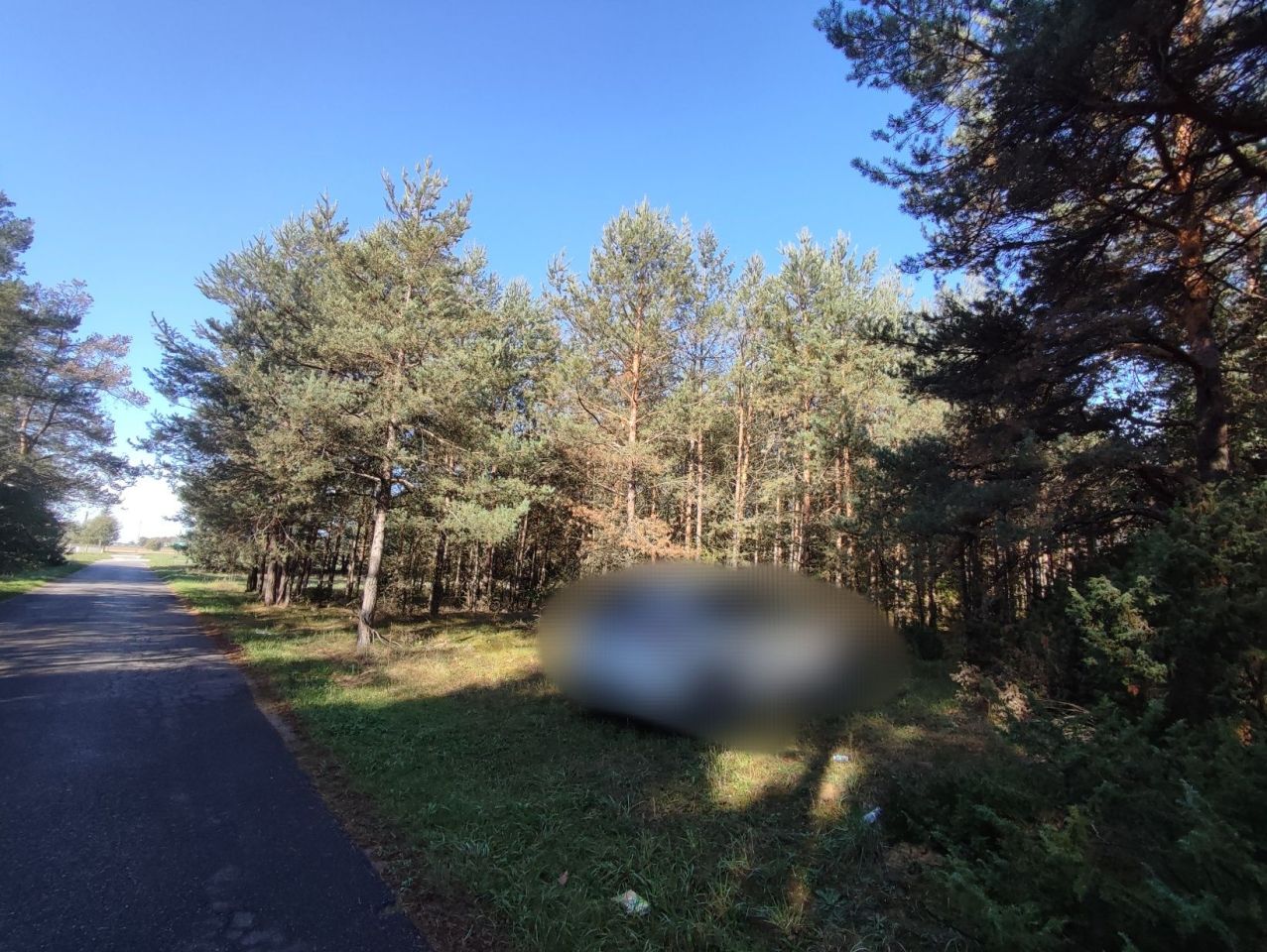 Działka rekreacyjna Nowa Strzemeszna. Zdjęcie 2