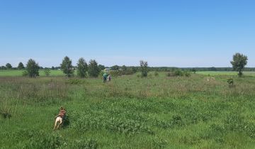 Działka budowlana Połchowo, ul. Polna