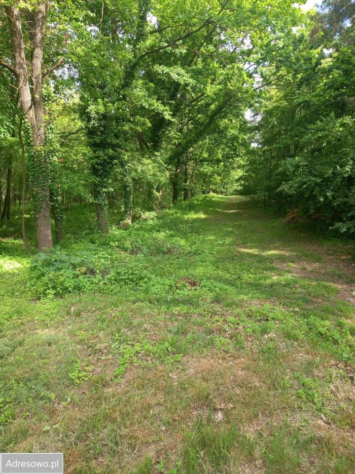 dom wolnostojący, 3 pokoje Postolin. Zdjęcie 17