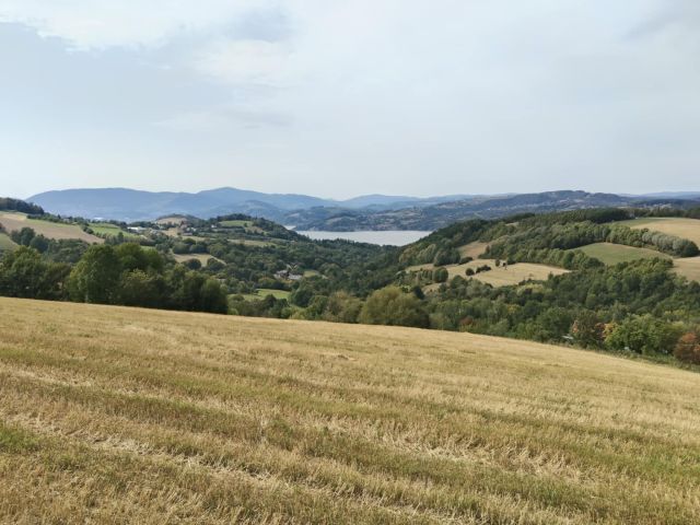 Działka rolna Lipie. Zdjęcie 1