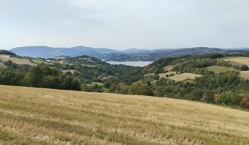 Działka rolna Lipie