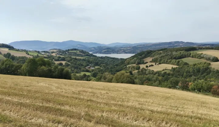 Działka rolna Lipie