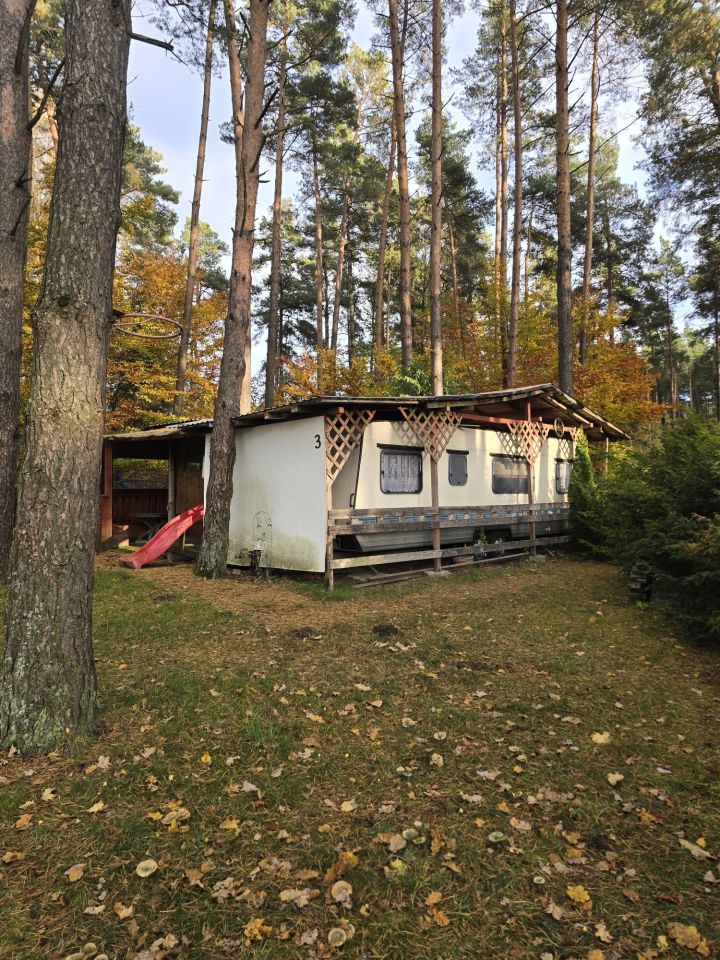 Działka rekreacyjna Siemiany