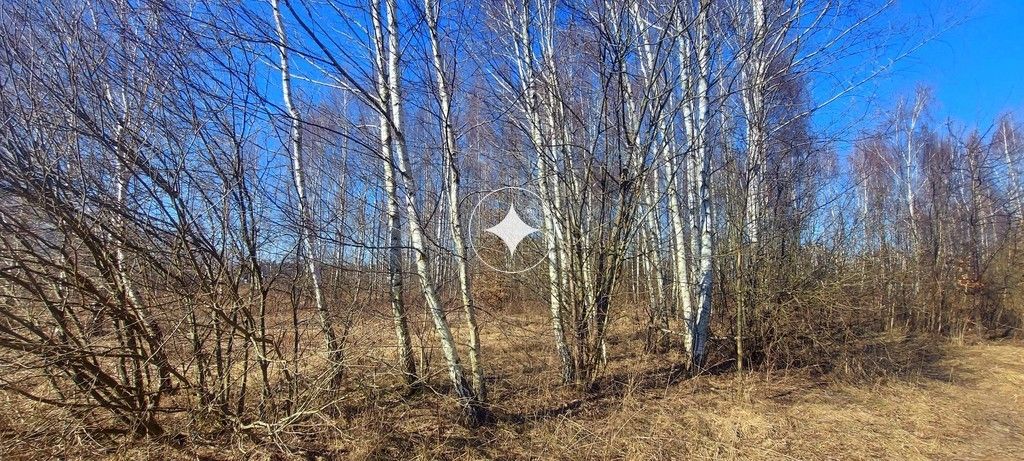 Działka budowlana Różnowo. Zdjęcie 9