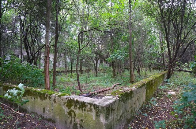 dworek Dąbrowica. Zdjęcie 29