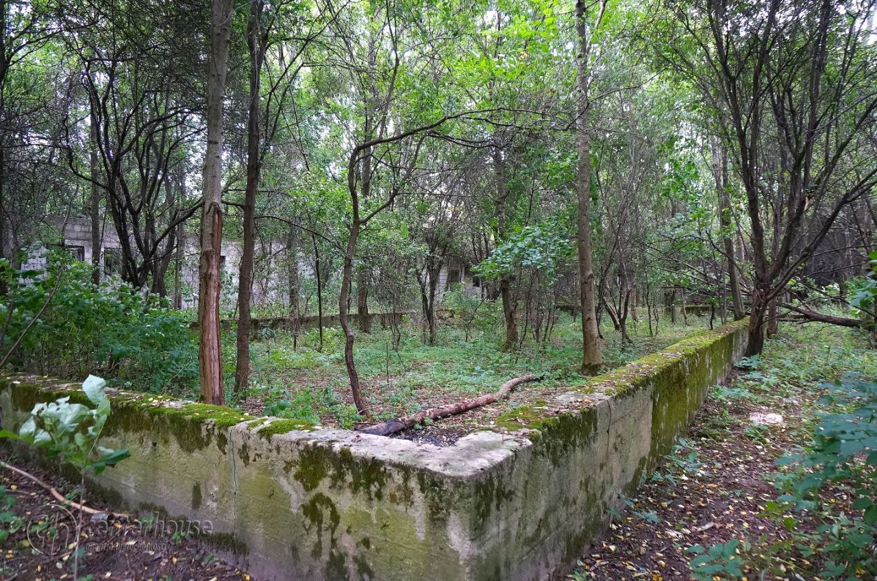 dworek Dąbrowica. Zdjęcie 29