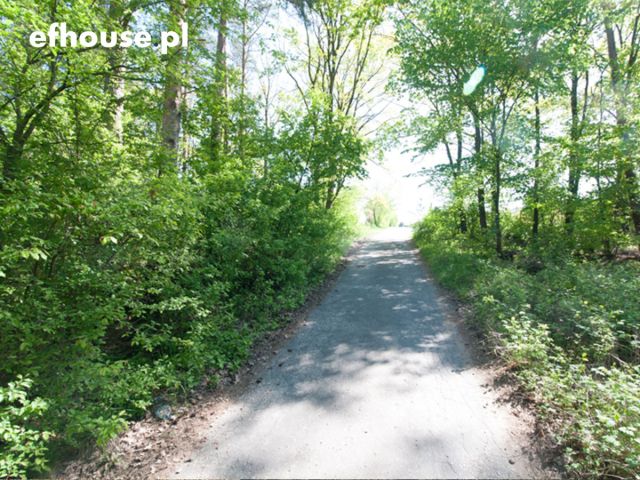 Działka rekreacyjna Wolice. Zdjęcie 13
