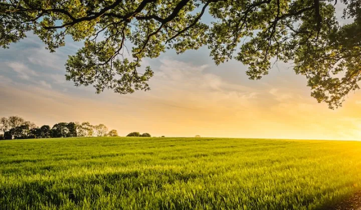 Działka rolno-budowlana Sępopol, ul. Boczna