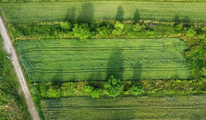 Działka inwestycyjna Stary Sącz, ul. Prymasa Stefana Wyszyńskiego