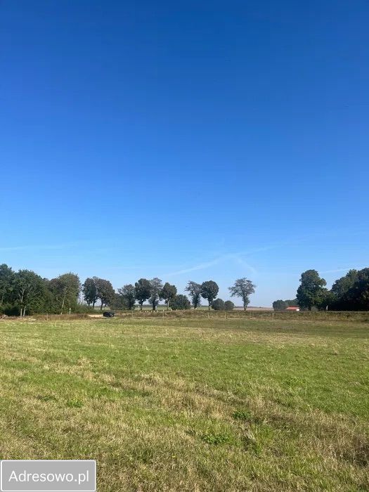 Działka budowlana Gąbin. Zdjęcie 4