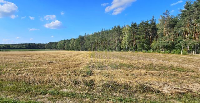 Działka budowlana Petrykozy, ul. Główna. Zdjęcie 7