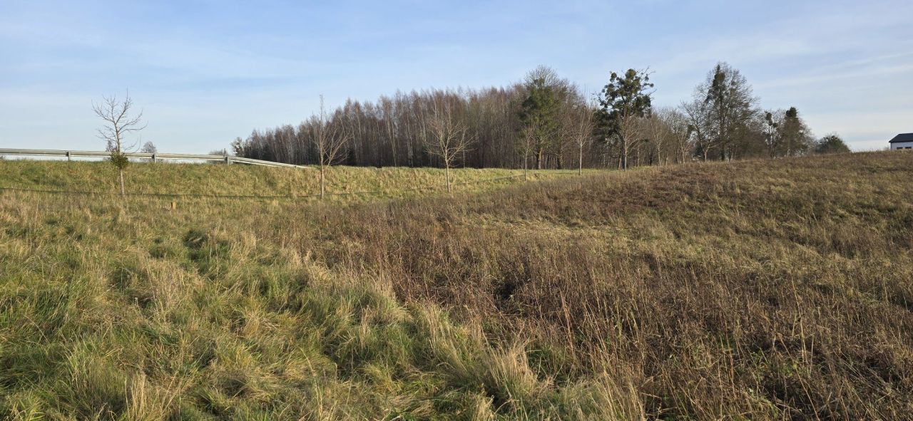 Działka rolna Runowo. Zdjęcie 8