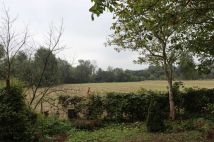 gospodarstwo Kępa Karolińska. Zdjęcie 4