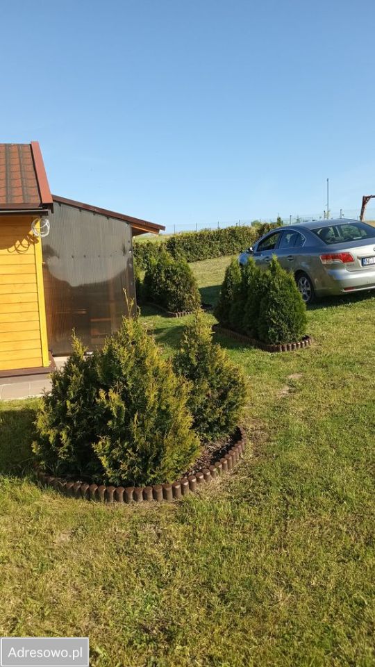 Działka rolno-budowlana Kożuchy Wielkie. Zdjęcie 4