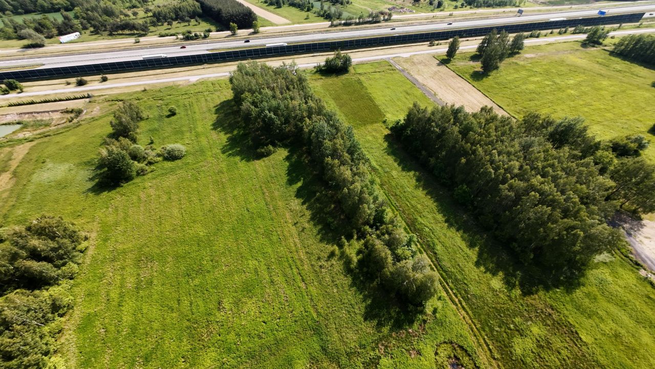 Działka inwestycyjna Borek Wielki Poręby. Zdjęcie 8