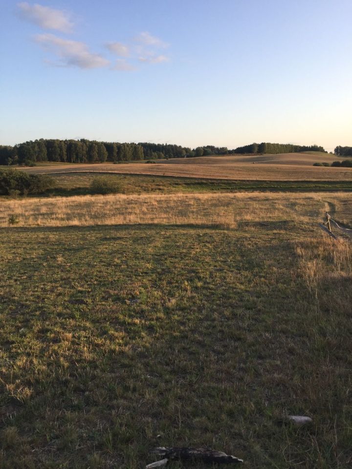 Działka rolna Przęsin. Zdjęcie 5