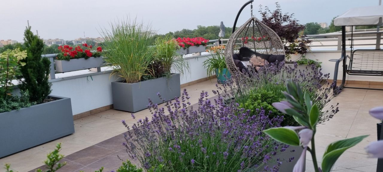 Mieszkanie 4-pokojowe Warszawa Bemowo, ul. Edmunda Jana Osmańczyka. Zdjęcie 22