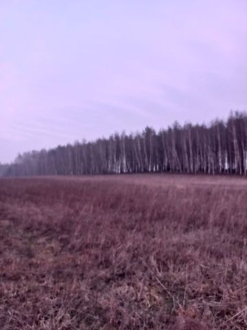 Działka rolno-budowlana Zieleń. Zdjęcie 1