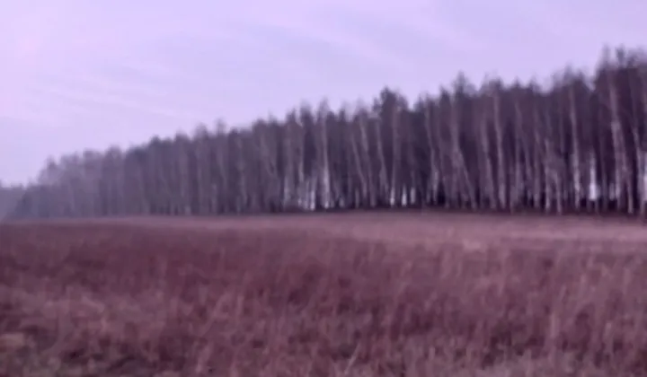 Działka rolno-budowlana Zieleń