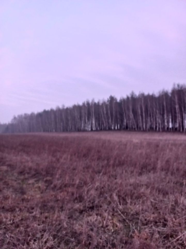 Działka rolno-budowlana Zieleń